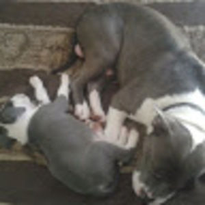 Meet your Posher, Re